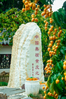 云浮市郁南縣委書記梁世軍:做強(qiáng)優(yōu)勢(shì)做精特色,闖出特色農(nóng)業(yè)大縣鄉(xiāng)村振興新路