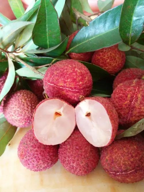 進入吃荔枝的季節,想起這位老人