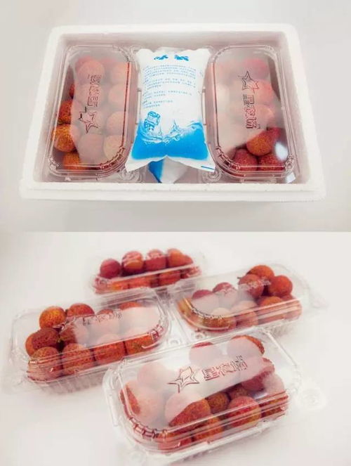 無核荔枝 咬下去，滿口都是肉的美味傳奇