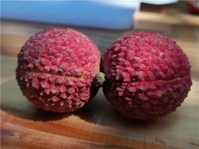 懶人福音!莆田市農業科學研究所種出無核荔枝!